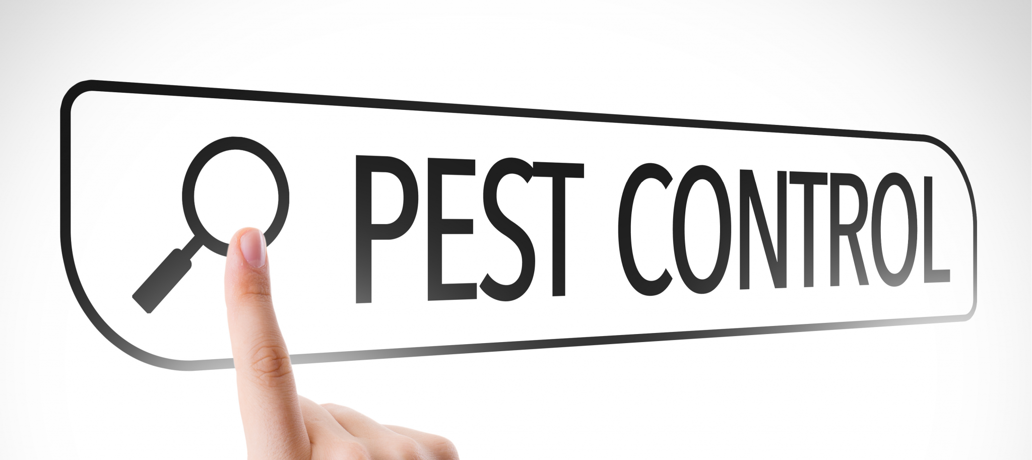 Пест контроль это. Пест контроль. Pest Control картинки. Точка Пест контроля. Что такое Пест контроль на производстве.